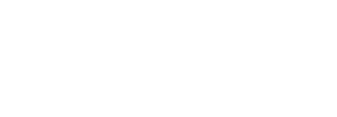 SoftStandard Solutions
